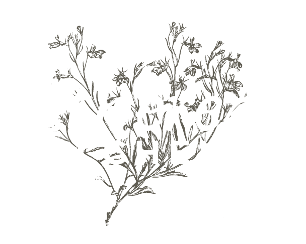 Ethereal Alchemy