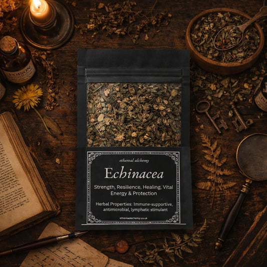 Dried Echinacea