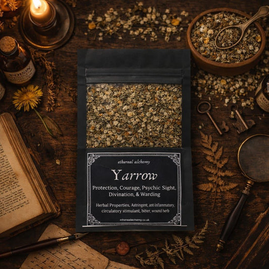 Dried Yarrow