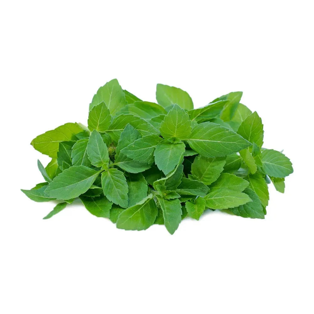 Fresh Holy Basil 100g
