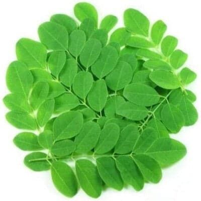 Fresh Moringa 200g